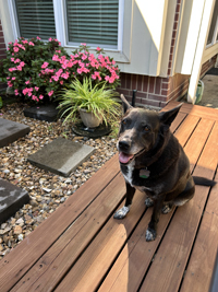 riley Riley - acting innocent