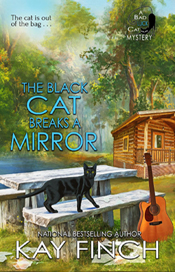 the black cat breaks a mirror
