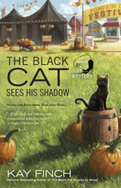 the black cat sees his shadow